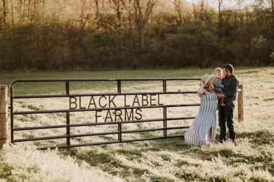 Image showing  16 ft. x 50 in. 6-Bar Economy Tube Gate, 1-3/4 in. Tube, Black