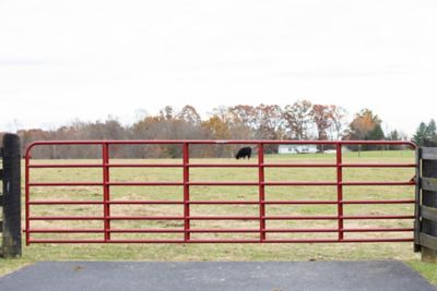 Image showing  16 ft. x 50 in. 7-Bar Heavy-Duty Standard Bull Gate, 81 lb., Red