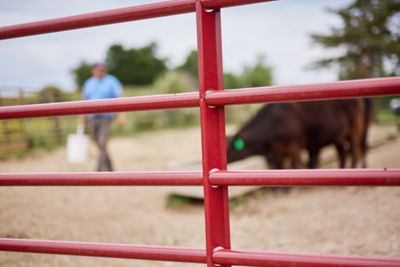Image showing  12 ft. x 62 in. 6-Bar Economy Corral Panel, 1-3/4 in. Tube, Red