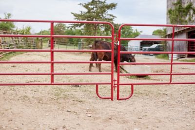Image showing 5 th Tarter 12 ft. x 62 in. 6-Bar Economy Corral Panel, 1-3/4 in. Tube, Red