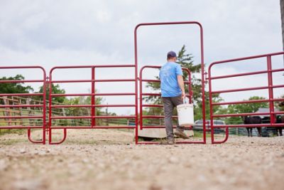 Image showing  4 x 8ft. 6-Bar Economy Walk Through Arch Gate with 6 ft. Panel, 1-3/4 in. Tube, Red