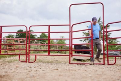 Image showing  4 x 8ft. 6-Bar Economy Walk Through Arch Gate with 6 ft. Panel, 1-3/4 in. Tube, Red