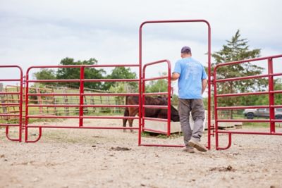 Image showing 5 th Tarter 8 ft. x 62 in. 6-Bar Walk Through Arch Gate Panel Gate, Red