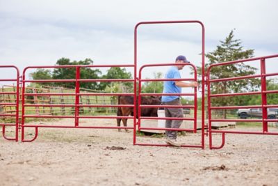 Image showing 6 th Tarter 8 ft. x 62 in. 6-Bar Walk Through Arch Gate Panel Gate, Red