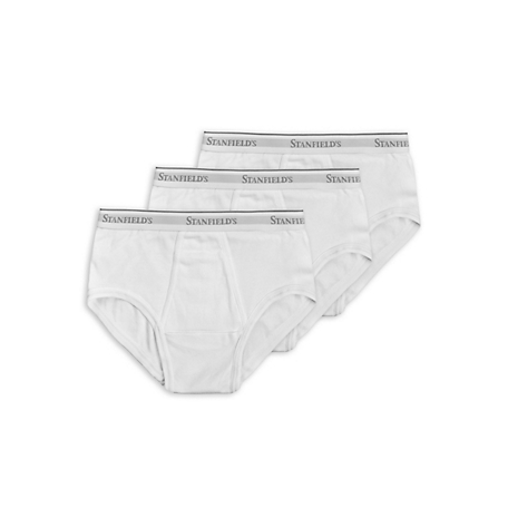 Stanfield's Men's Cotton Boxer Briefs, 2 pc. at Tractor Supply Co.