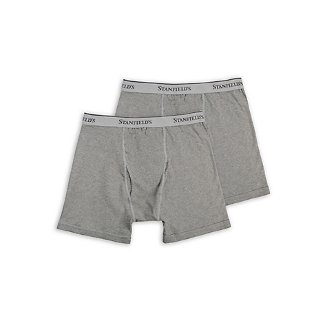 Stanfield's Men's Premium Cotton Modern Fit Low-Rise Boxer Briefs, 2 pc. at  Tractor Supply Co.