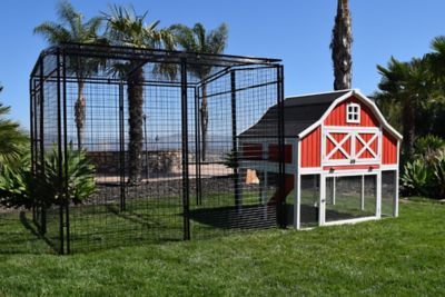 Image showing  Omaha Chicken Coop, 6 to 8 Chicken Capacity