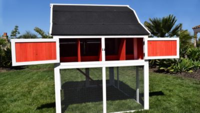 Image showing 5 th Rugged Ranch Omaha Chicken Coop, 6 to 8 Chicken Capacity