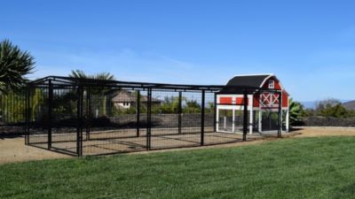 Image showing 6 th Rugged Ranch Omaha Chicken Coop, 6 to 8 Chicken Capacity