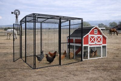 Image showing 8 th Rugged Ranch Omaha Chicken Coop, 6 to 8 Chicken Capacity