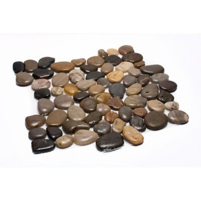 Rain Forest Mixed Mid-Polished Pebble Stone Floor and Wall Tiles, 12 in. x 12 in., 5 pc.