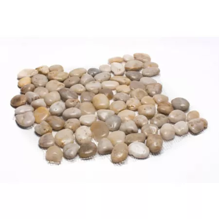 Rain Forest White Mid-Polished Pebble Stone Floor and Wall Tile 12-inch x 12-inch 5-Piece Landscape Rocks