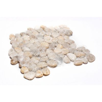 Image showing  White Mid-Polished Pebble Stone Floor and Wall Tiles, 12 in. x 12 in., 5 pc.
