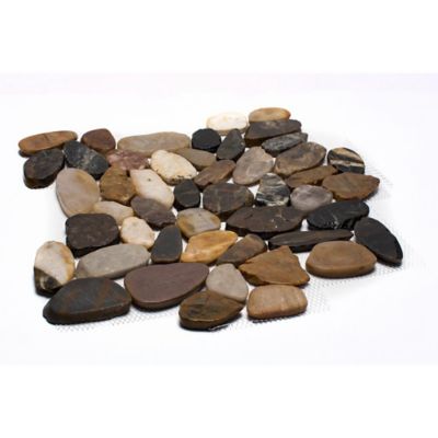 Rain Forest Mixed Sliced High-Polished Pebble Stone Floor and Wall and Tiles, 12 in. x 12 in., 5 pc.