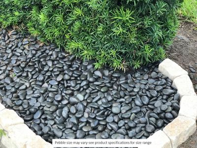 Image showing  20 lb. Small Black Polished Pebbles