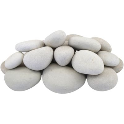 Rain Forest Large Flat Caribbean Pebbles, 30 lb.