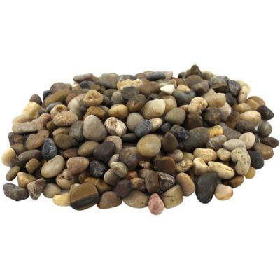 Rain Forest Mini Mixed Polished Pebbles, 20 lb., 1/2 in.