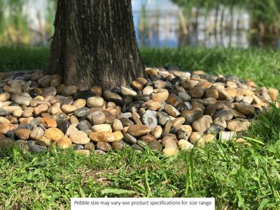 Image showing  Rainforest 0.5-1.5 in. Mixed Polished Pebbles, 2200 lbs.