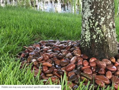 Image showing  2,200 lb. Small Rosa Mexican Beach Pebbles