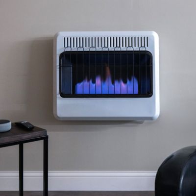 Image showing  Natural Gas Vent-Free Blue Flame Heater, 1,000 sq. ft., 30,000 BTU
