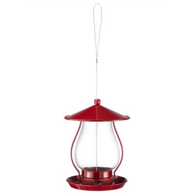 Royal Wing Red Lantern Feeder 161112c At Tractor Supply Co