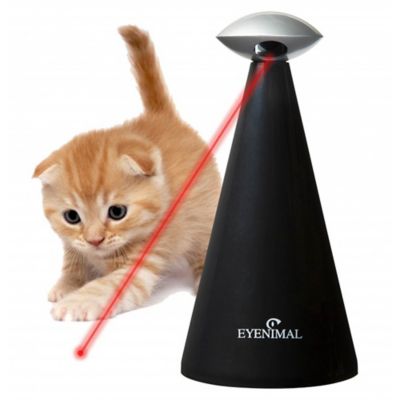 Ideal Pet Products Automatic Cat Laser, NGCATTOY001 at Tractor 