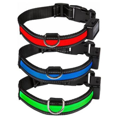 smart choice dog collar