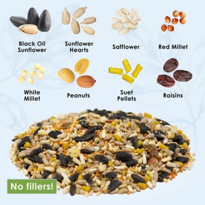 Image showing  Gourmet High-Protein Wild Bird Food, 5.5 lb.
