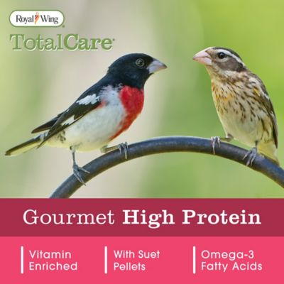 Image showing  Gourmet High-Protein Wild Bird Food, 5.5 lb.