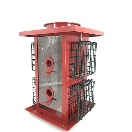 Royal Wing Large Combo Seed and Suet Bird Feeder, 7-10 lb. Capacity