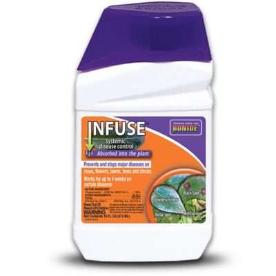 Bonide Infuse Systemic Disease Control, 16 oz Concentrated Solution for  Plant Disease Control, Long Lasting & Waterproof at Tractor Supply Co.