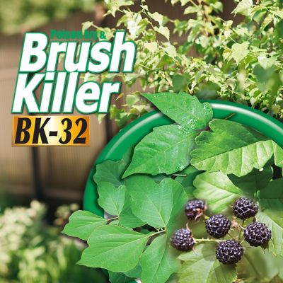 Image showing  16 oz. Poison Ivy and Brush Killer, Concentrate, Safe for Lawn, Kills Poison Ivy, Poison Oak and Weeds