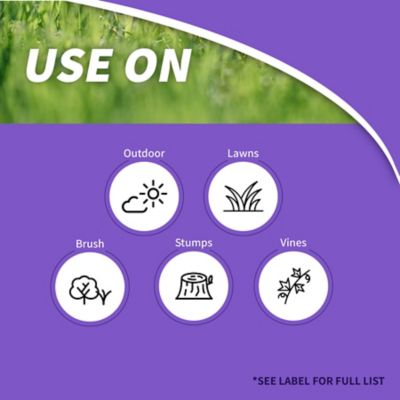 Image showing  16 oz. Poison Ivy and Brush Killer, Concentrate, Safe for Lawn, Kills Poison Ivy, Poison Oak and Weeds