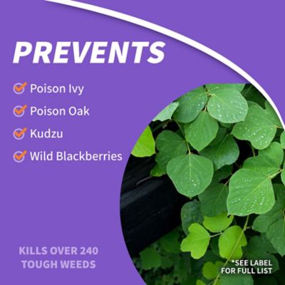 Image showing 5 th Bonide 16 oz. Poison Ivy and Brush Killer, Concentrate, Safe for Lawn, Kills Poison Ivy, Poison Oak and Weeds