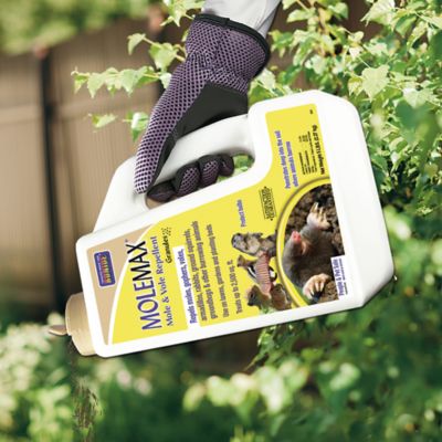Image showing  5 lb. MOLEMAX Ready-to-Use Mole and Vole Repellent Granules
