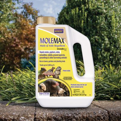 Image showing  5 lb. MOLEMAX Ready-to-Use Mole and Vole Repellent Granules