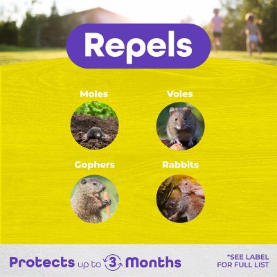 Image showing  5 lb. MOLEMAX Ready-to-Use Mole and Vole Repellent Granules