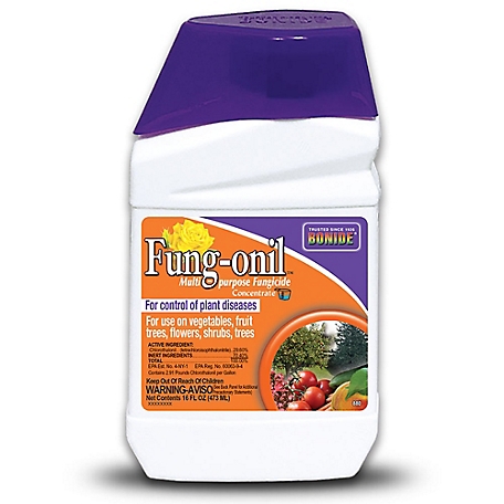 Bonide 16 oz. Fung-Onil Fungicide Concentrate