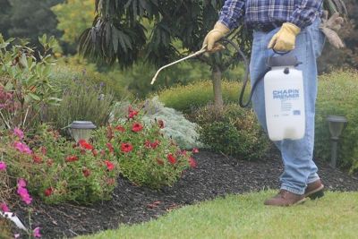 Image showing 7 th Chapin 2 gal. Premier Pro XP Poly Tank Sprayer for Fertilizer, Herbicides and Pesticides