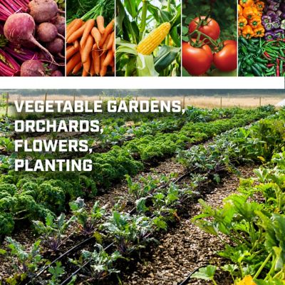 Image showing  Garden Seeder with Seed Plates and Row Marker