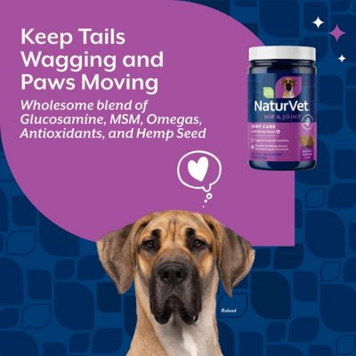 Image showing  Hemp Joint Health Plus Hemp Seed Soft Chews for Dogs