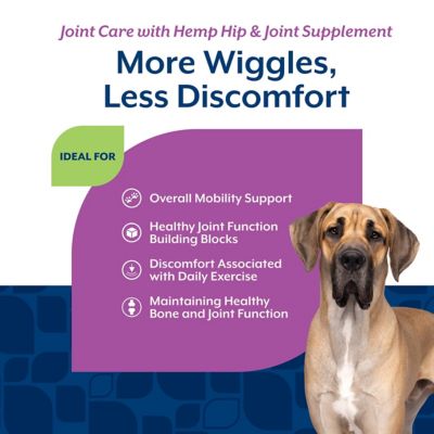 Image showing  Hemp Joint Health Plus Hemp Seed Soft Chews for Dogs