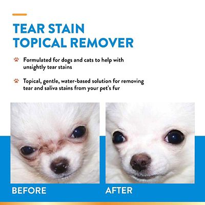 Image showing  Topical Tear Stain Remover for Cats and Dogs, 4 oz.