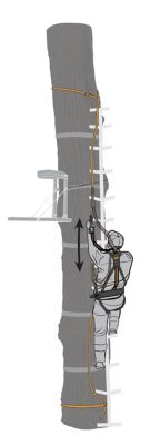 Image showing  Crossover Harness Combo - L