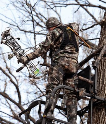 Image showing  Diamondback Harness