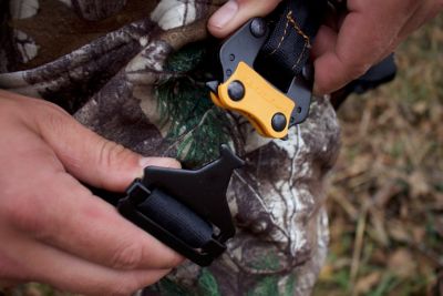 Image showing  Diamondback Harness