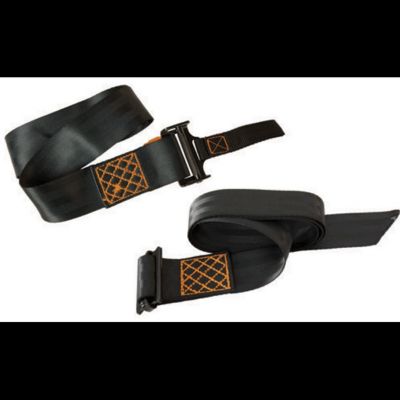 Image showing  Magnum Pro Harness