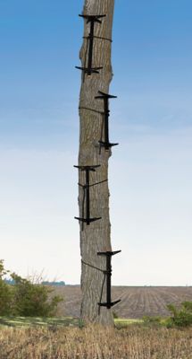 Image showing  Prosticks 4-Pack