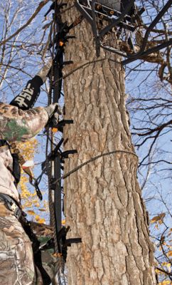 Image showing  Prosticks 4-Pack