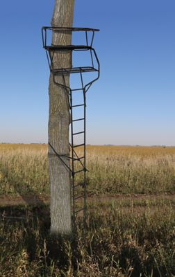 Image showing  18 ft. Guardian XLT Ladderstand